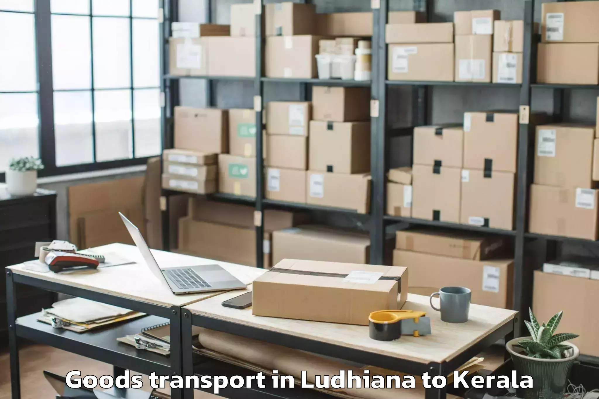 Quality Ludhiana to Shertallai Goods Transport